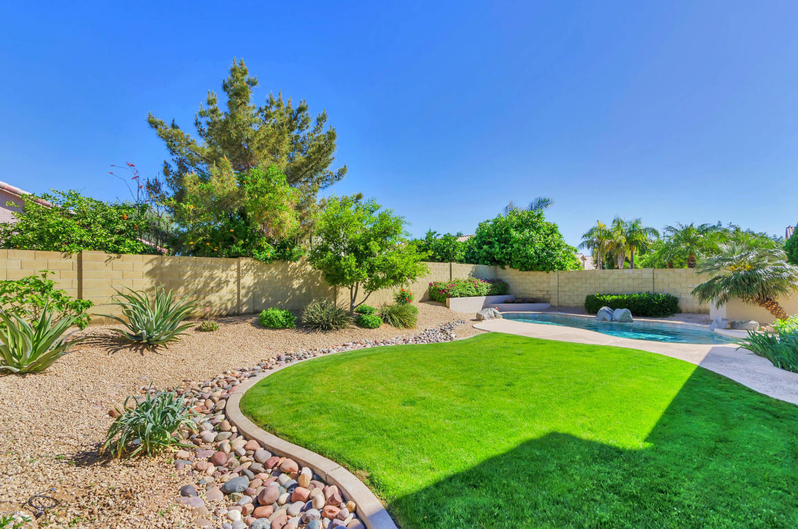 3520 E Clark Rd, Phoenix, AZ 85050 photo 26