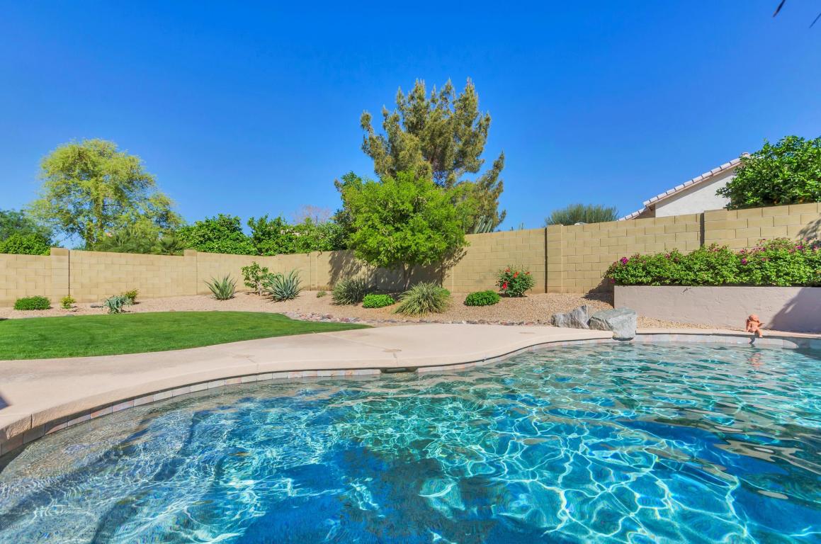 3520 E Clark Rd, Phoenix, AZ 85050 photo 24