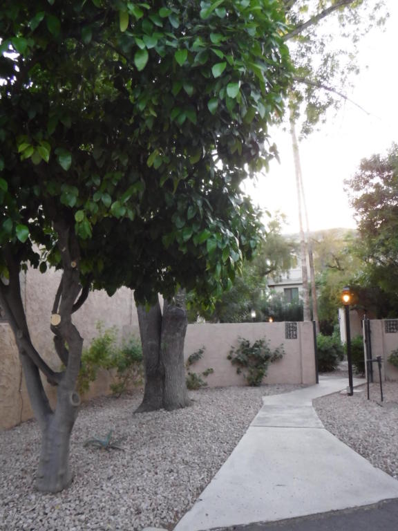 4537 E Rhonda Dr, Phoenix, AZ 85018 photo 28