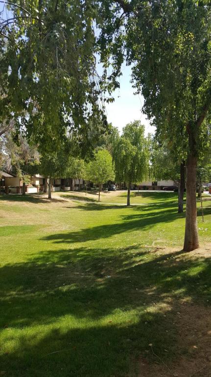 170 E Guadalupe Rd #139, Gilbert, AZ 85234 photo 19