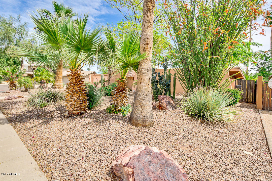 8211 N 2nd Ave, Phoenix, AZ 85021 photo 27