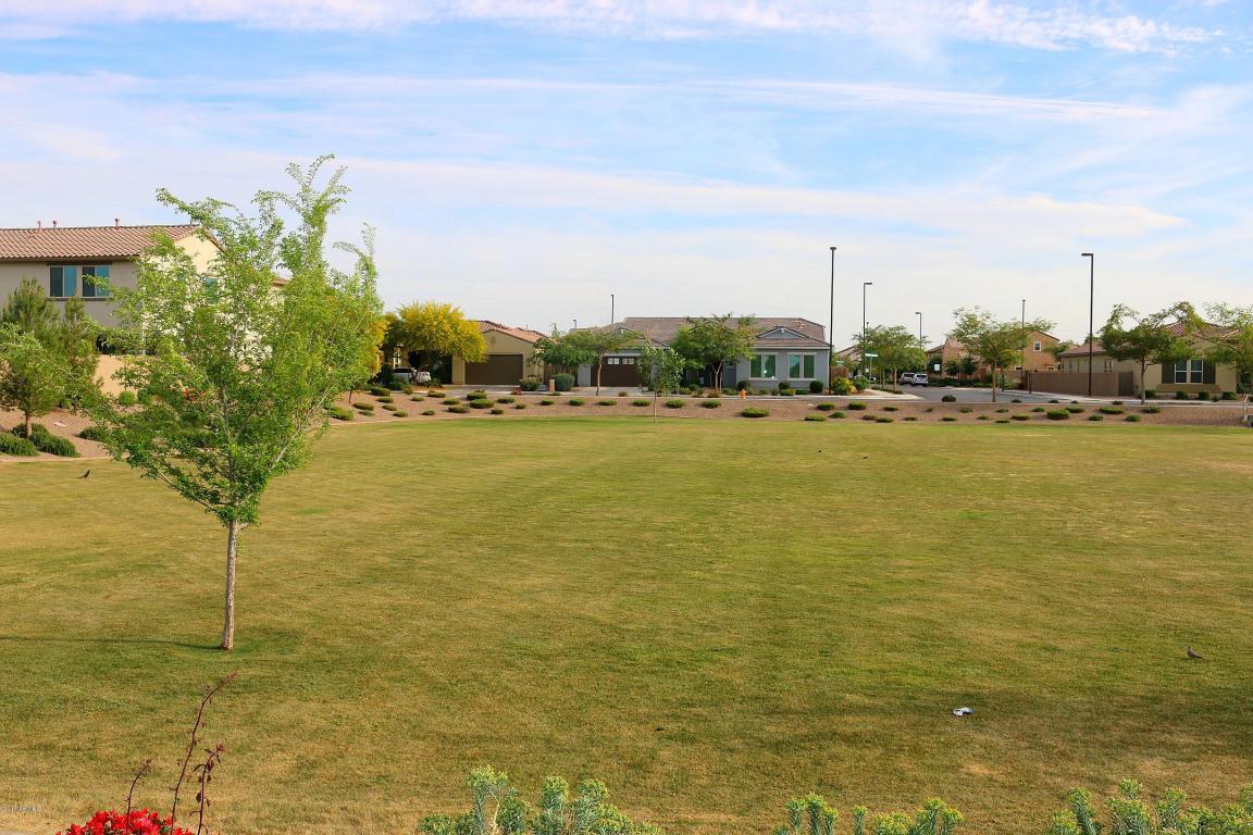 3457 E Bart St, Gilbert, AZ 85295 photo 22