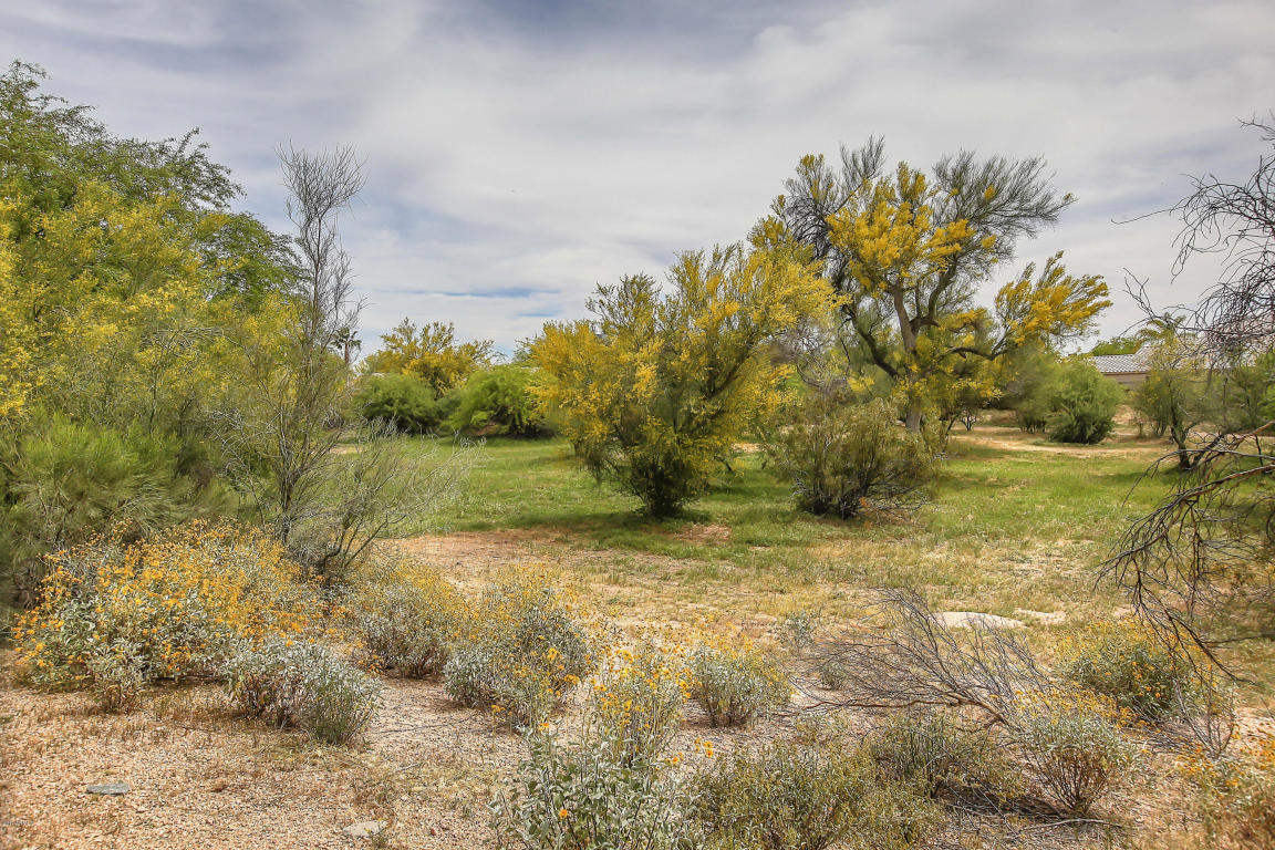2133 E Robin Ln, Phoenix, AZ 85024 photo 38
