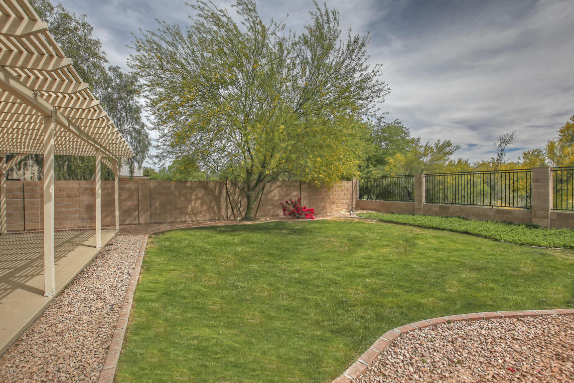 2133 E Robin Ln, Phoenix, AZ 85024 photo 34