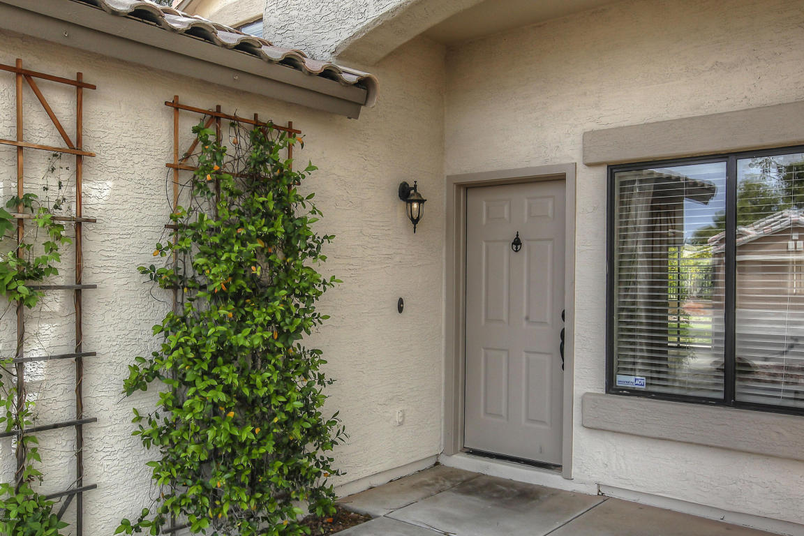 2133 E Robin Ln, Phoenix, AZ 85024 photo 3