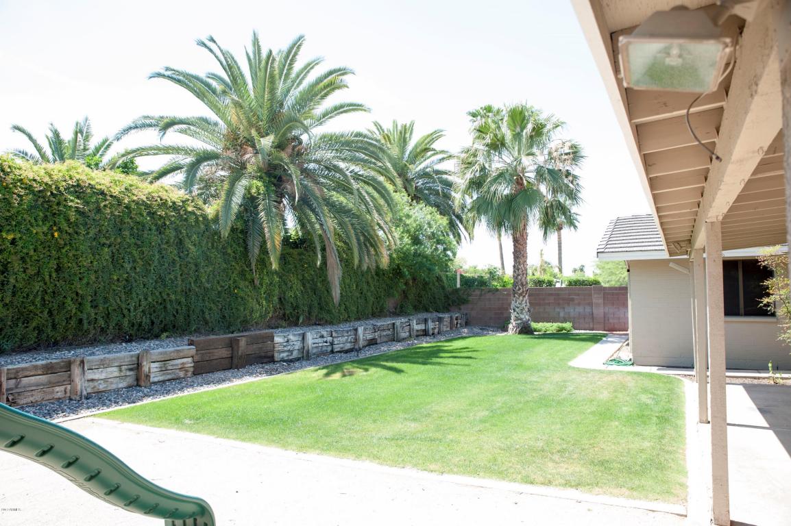 115 E Paradise Ln, Phoenix, AZ 85022 photo 17