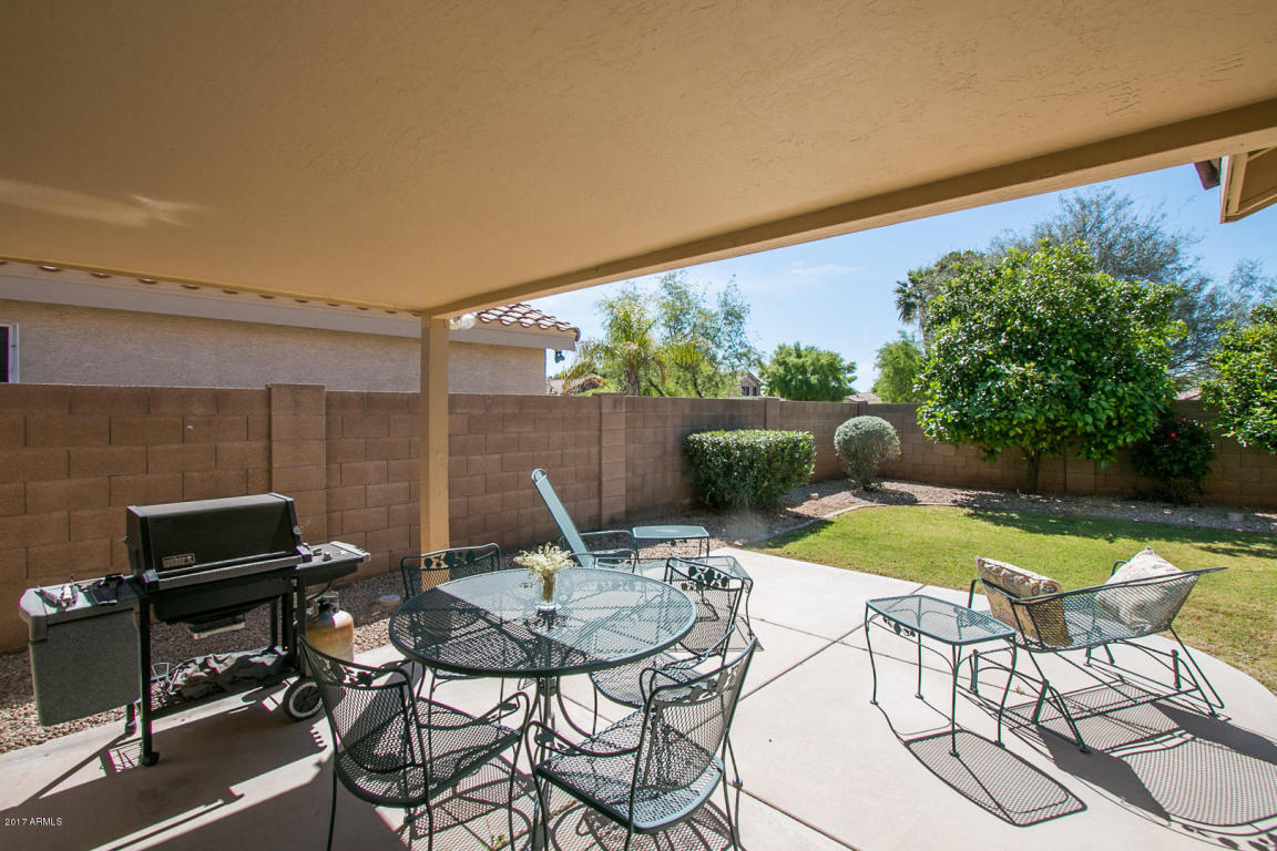 3233 E Marco Polo Rd, Phoenix, AZ 85050 photo 20