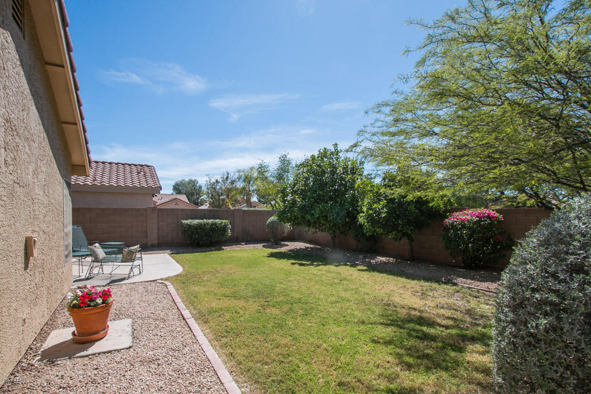 3233 E Marco Polo Rd, Phoenix, AZ 85050 photo 21