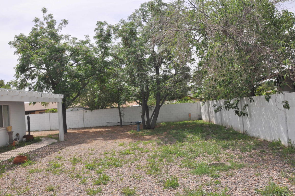 4247 E Bluefield Ave, Phoenix, AZ 85032 photo 20