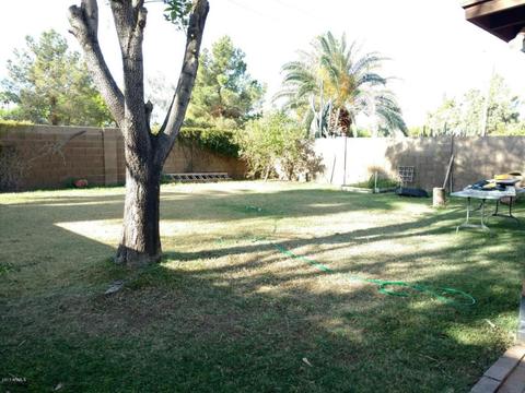 1531 E Gary Dr, Chandler, AZ 85225 photo 13