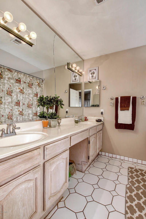 4228 E Downing St, Mesa, AZ 85205 photo 17