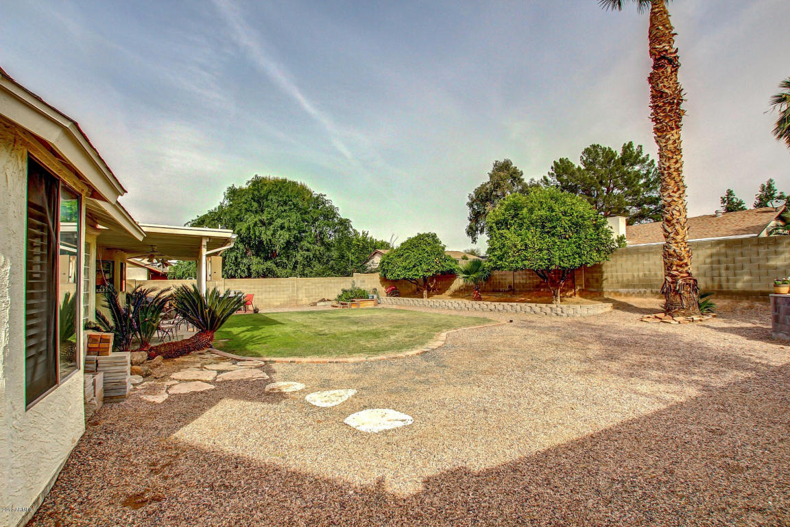 4228 E Downing St, Mesa, AZ 85205 photo 24