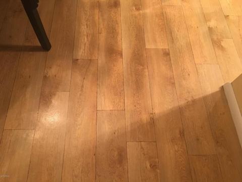 1147 E Bell De Mar Dr, Tempe, AZ 85283 photo 33