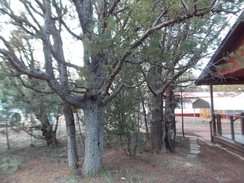 2889 Verde Rd, Overgaard, AZ 85933 photo 16