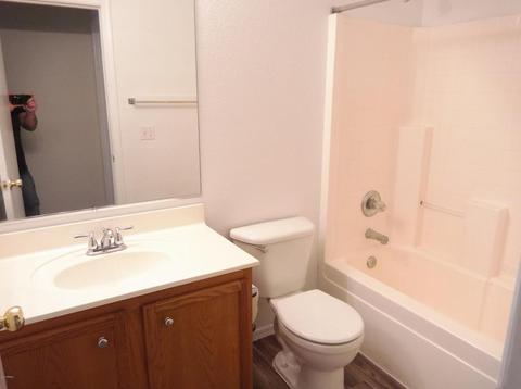 11234 E Ramblewood Cir, Mesa, AZ 85212 photo 19