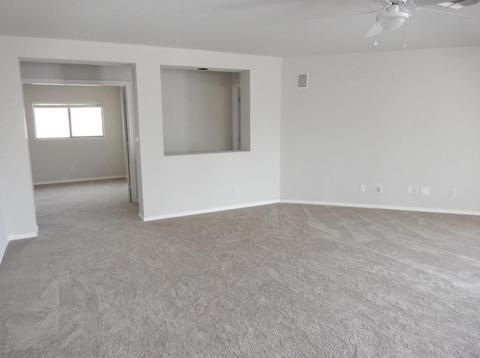 11234 E Ramblewood Cir, Mesa, AZ 85212 photo 10