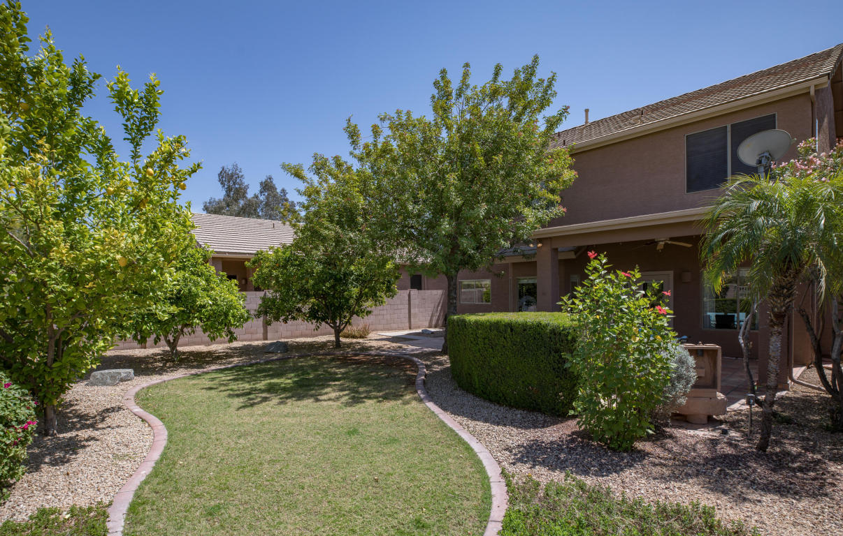 4644 E Chisum Trl, Phoenix, AZ 85050 photo 3