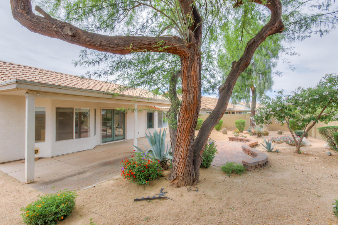 2168 E Cathy Ct, Gilbert, AZ 85296 photo 18