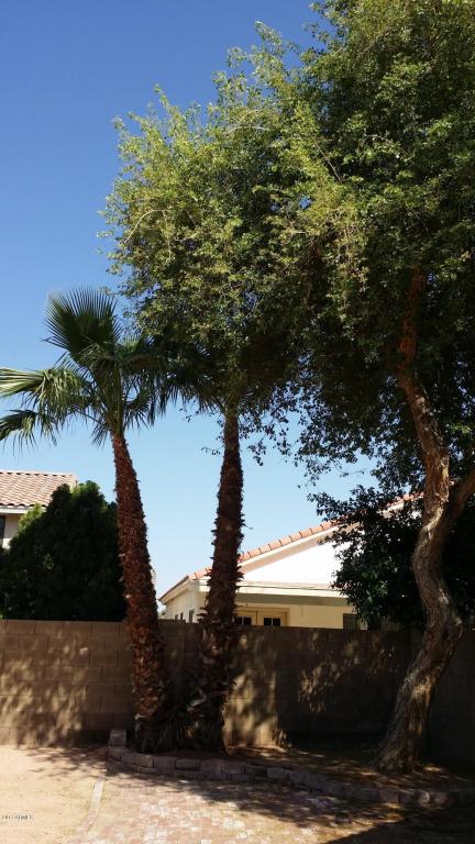 1390 E Vaughn Ave, Gilbert, AZ 85234 photo 23