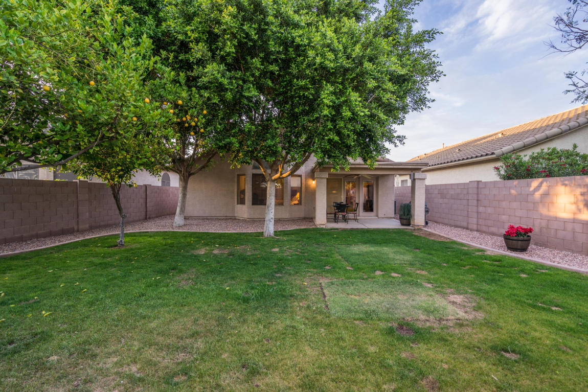 4643 E Mountain Vista Dr, Phoenix, AZ 85048 photo 9