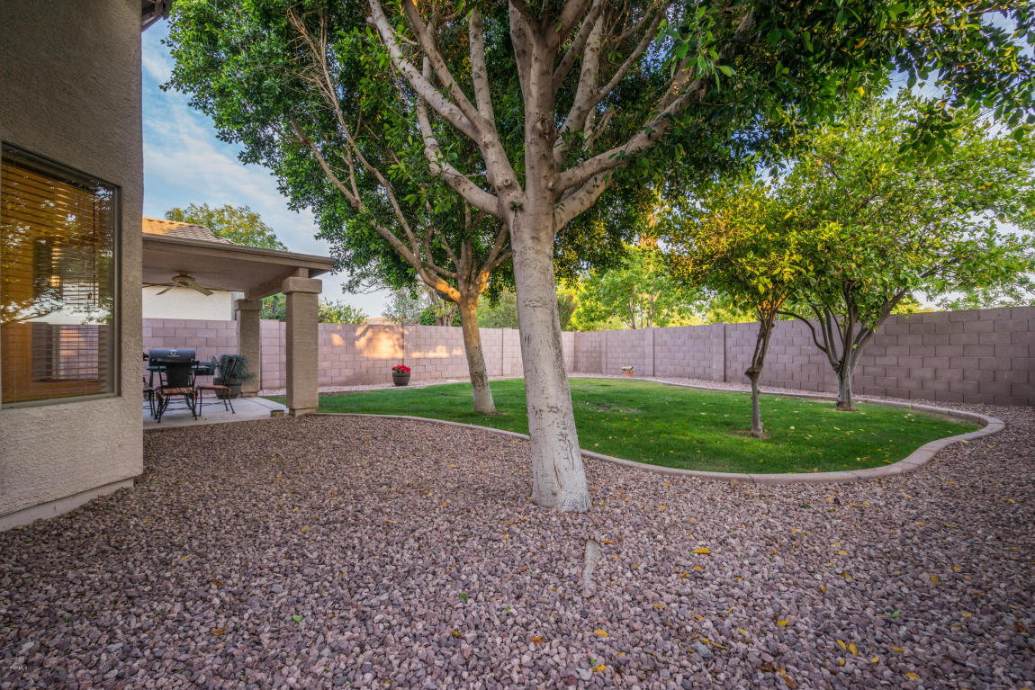4643 E Mountain Vista Dr, Phoenix, AZ 85048 photo 8