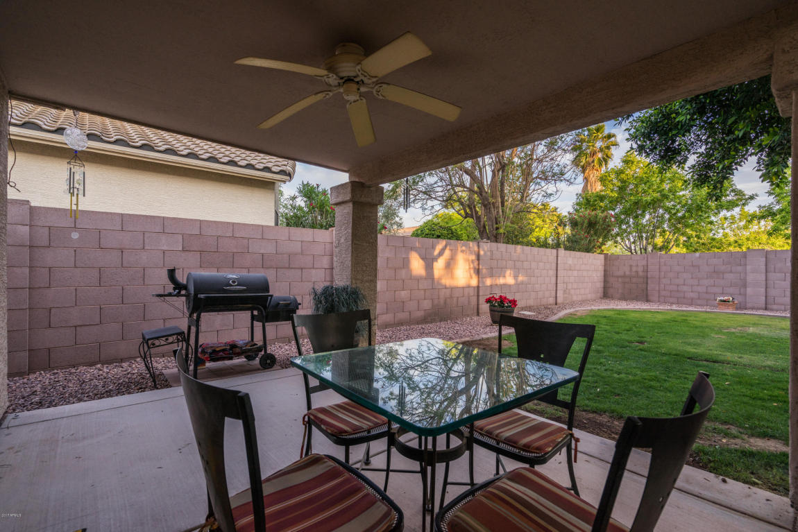 4643 E Mountain Vista Dr, Phoenix, AZ 85048 photo 6