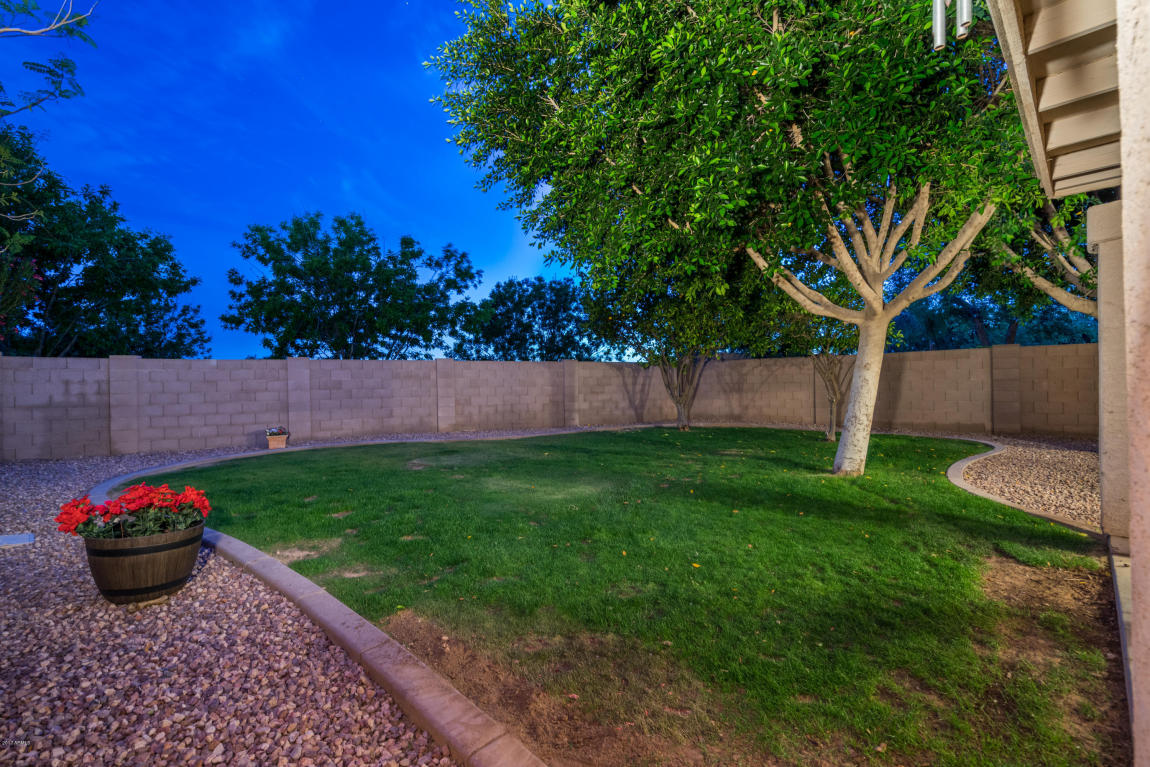 4643 E Mountain Vista Dr, Phoenix, AZ 85048 photo 4