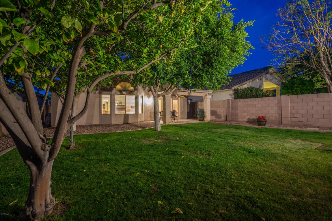 4643 E Mountain Vista Dr, Phoenix, AZ 85048 photo 5