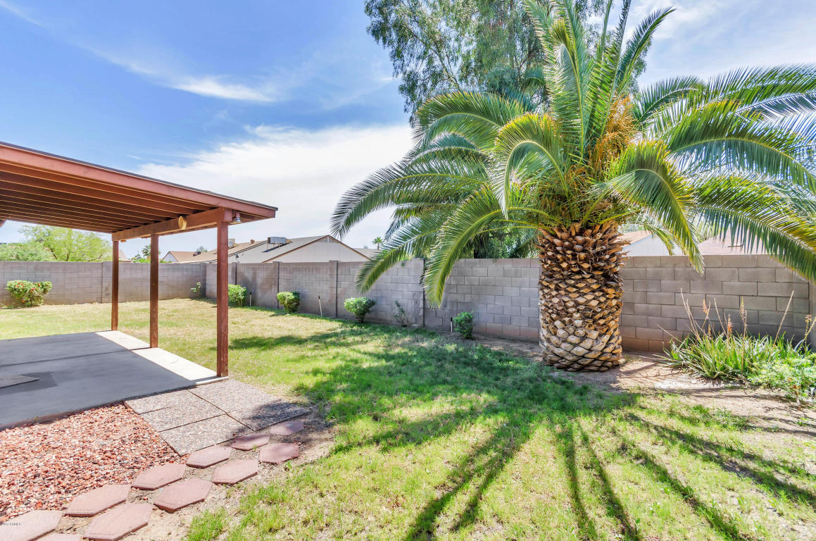 1719 E Aire Libre Ave, Phoenix, AZ 85022 photo 22
