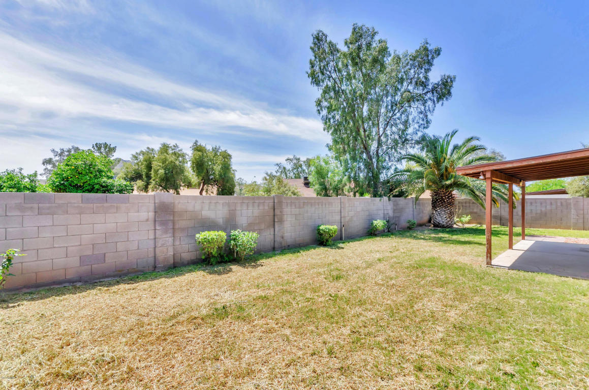 1719 E Aire Libre Ave, Phoenix, AZ 85022 photo 21