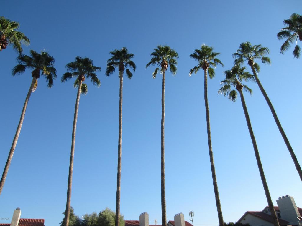 30 E Brown Rd #1050, Mesa, AZ 85201 photo 8