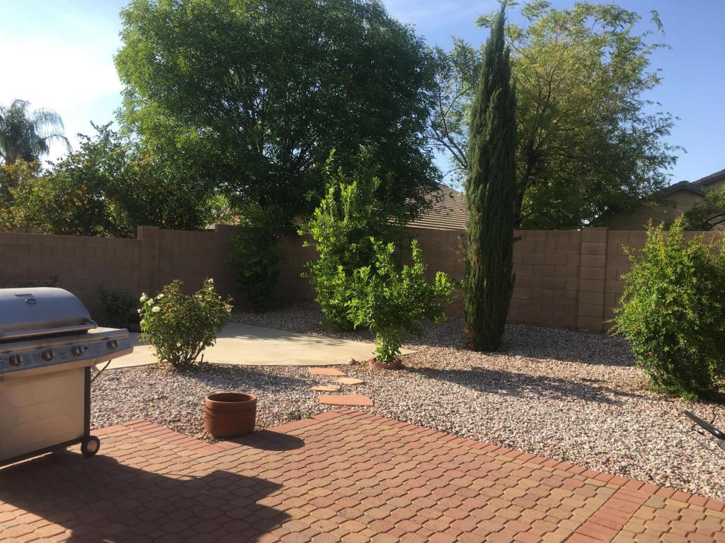 11344 E Peterson Ave, Mesa, AZ 85212 photo 9
