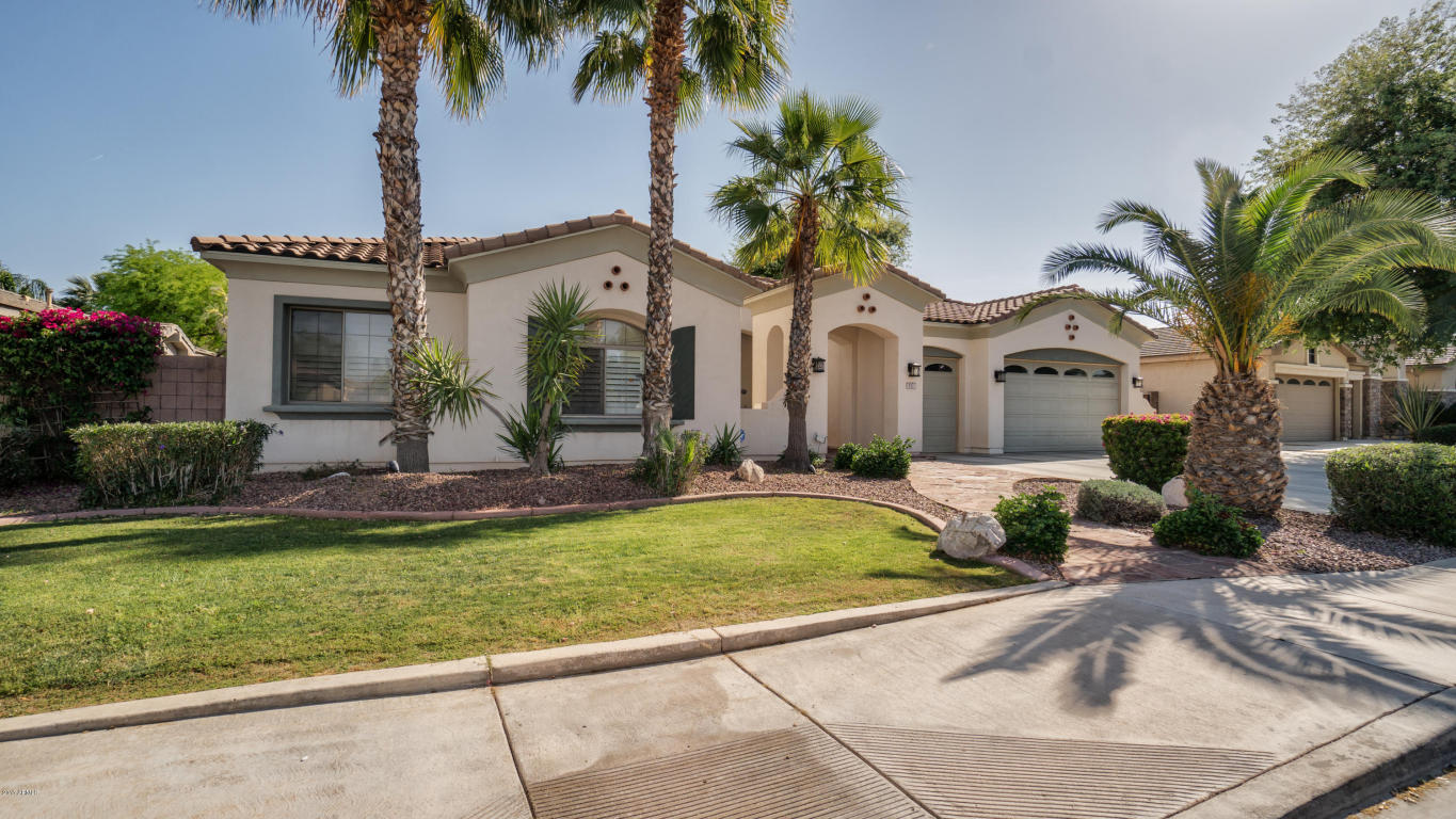 517 Elgin St, Gilbert, AZ 85295 photo 9