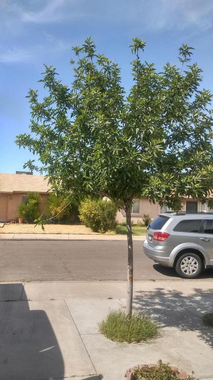 6421 W Sonora St, Phoenix, AZ 85043 photo 14