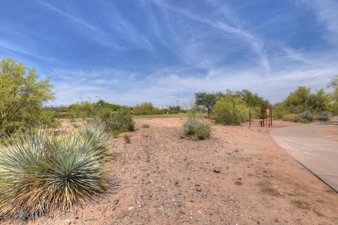 1805 E Winchcomb Dr, Phoenix, AZ 85022 photo 22