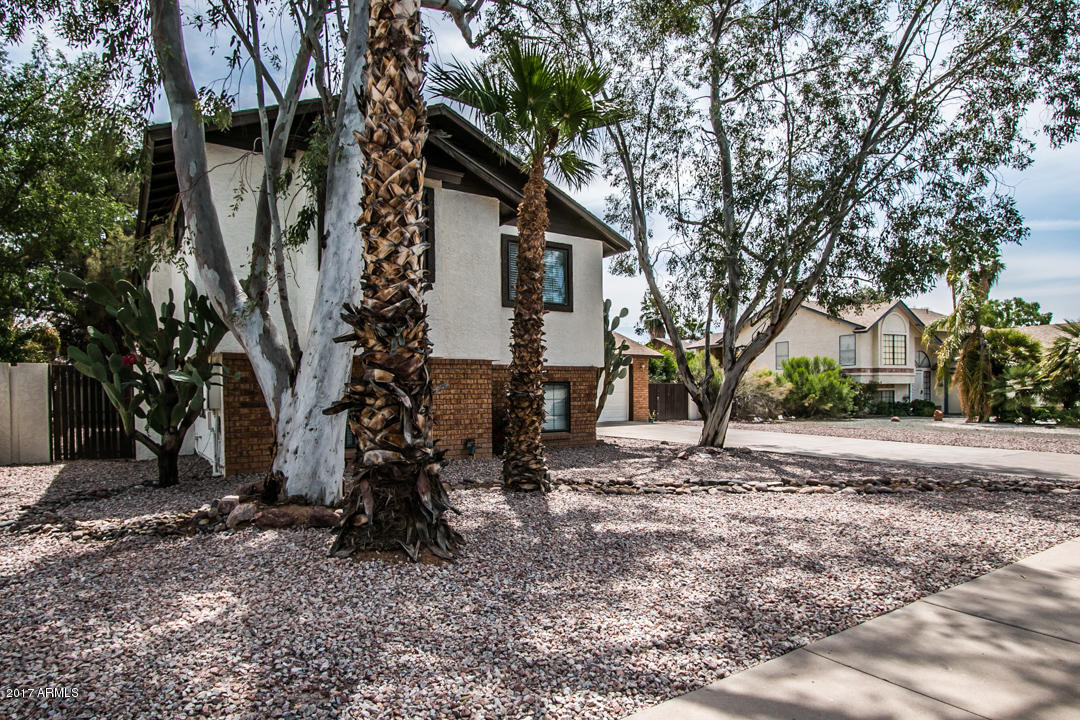 4843 E Dixon St, Mesa, AZ 85205 photo 3