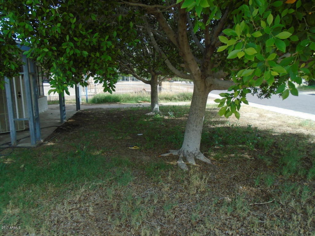 9232 N 2nd Ave, Phoenix, AZ 85021 photo 5