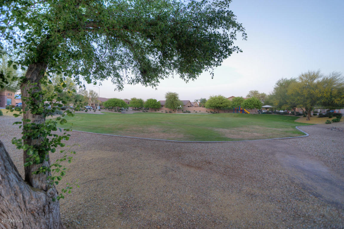 11228 E Stanton Ave, Mesa, AZ 85212 photo 41