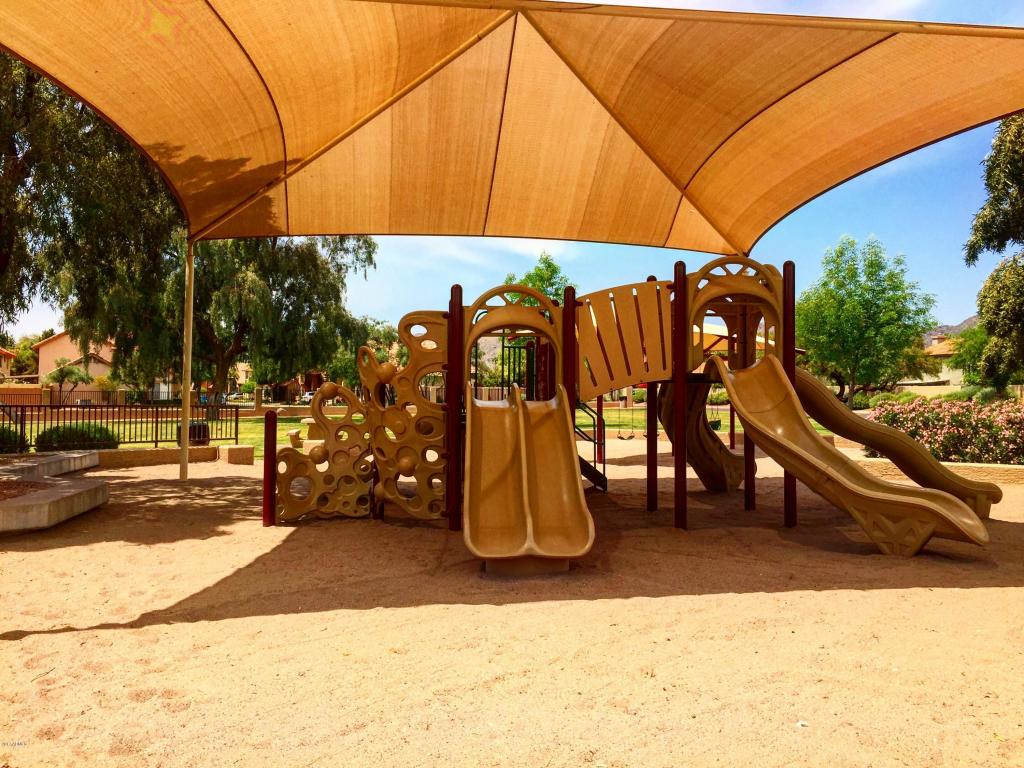 3834 E Park Ave, Phoenix, AZ 85044 photo 22