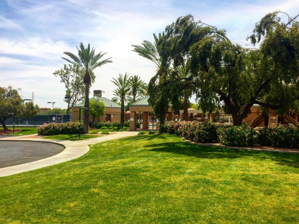 3834 E Park Ave, Phoenix, AZ 85044 photo 24