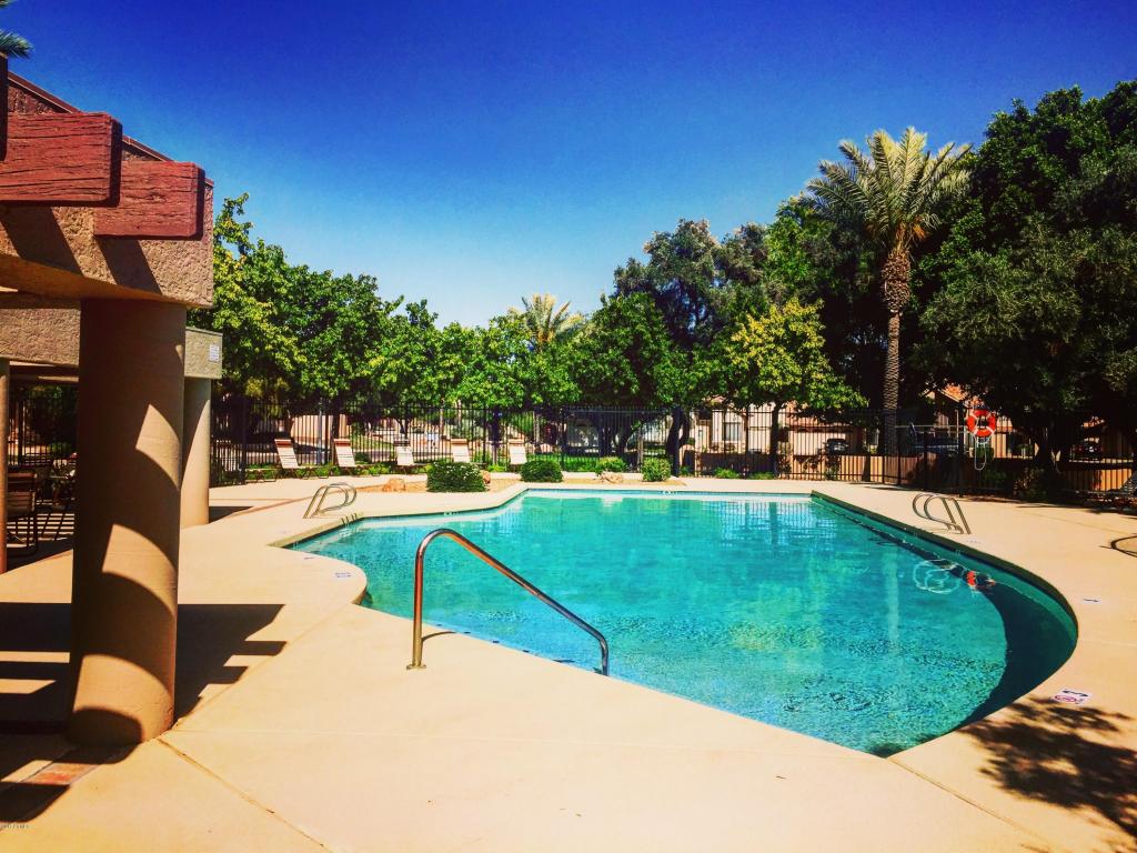 3834 E Park Ave, Phoenix, AZ 85044 photo 27