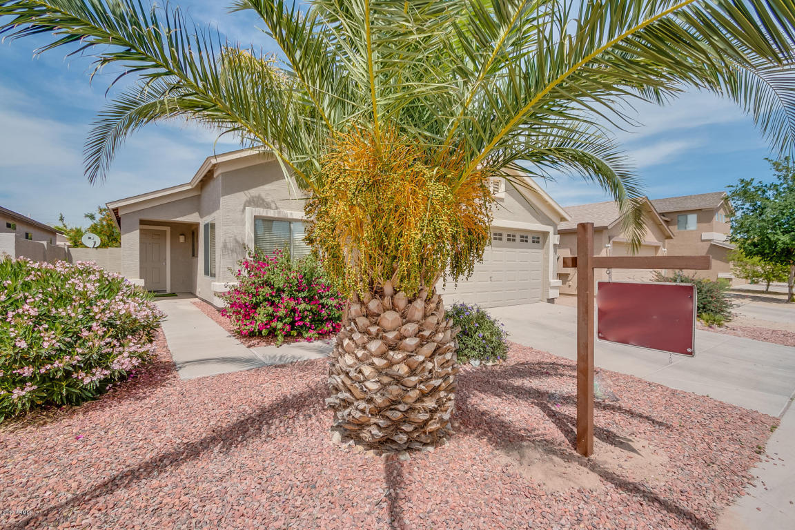 6732 E Pine Way, Florence, AZ 85132 photo 4