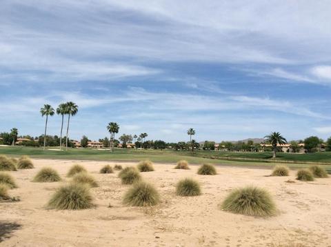 1719 N Sinova --, Mesa, AZ 85205 photo 59