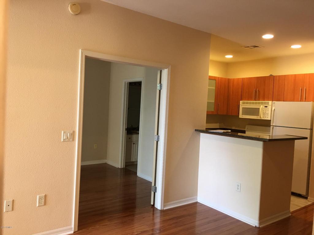 6900 E Princess Dr #2228, Phoenix, AZ 85054 photo 20