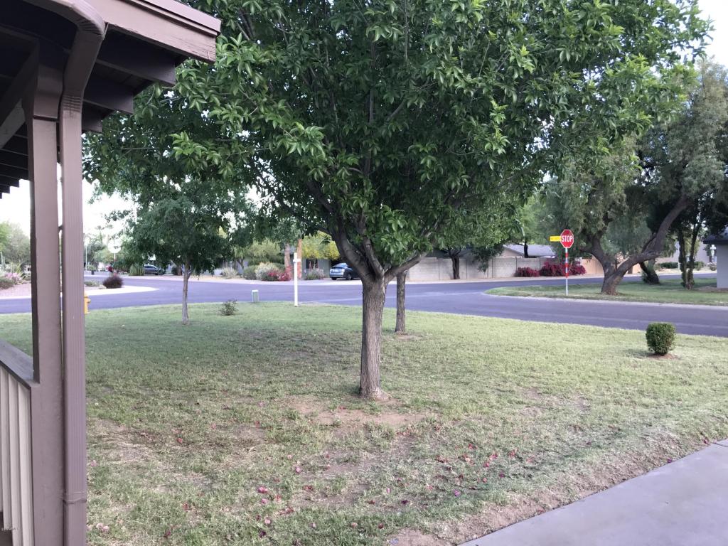 946 E Oregon Ave, Phoenix, AZ 85014 photo 27