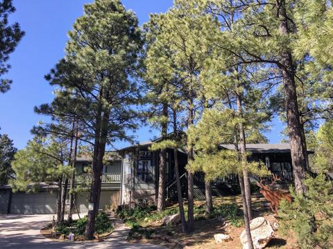 2216 Putter Pl, Overgaard, AZ 85933 photo 17