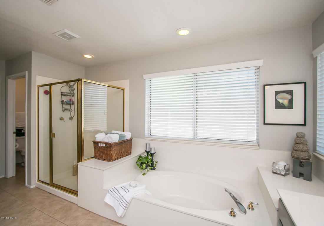 6605 E Virginia St, Mesa, AZ 85215 photo 21