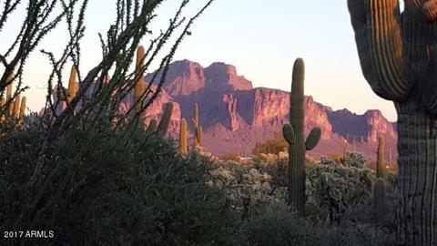 4925 N Cactus Rd, Apache Junction, AZ 85119 photo 41