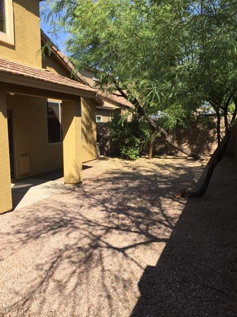 4050 E Abraham Ln, Phoenix, AZ 85050 photo 17