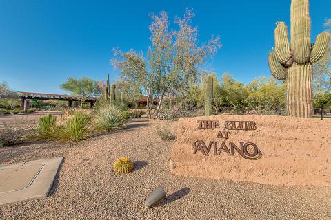 3970 E Hashknife Rd, Phoenix, AZ 85050 photo 57